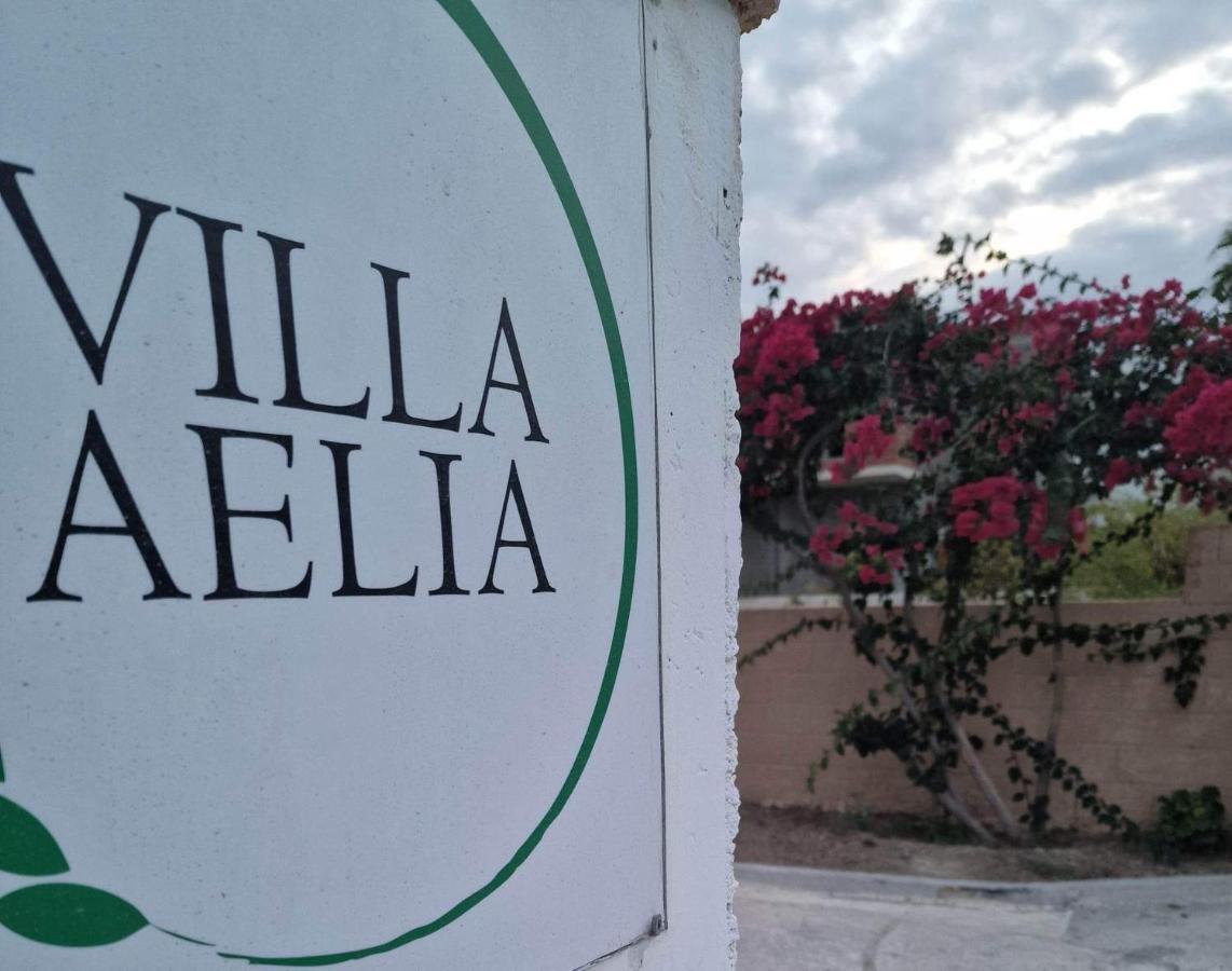 Aelia House Kefalos - Cozy & Quiet מראה חיצוני תמונה